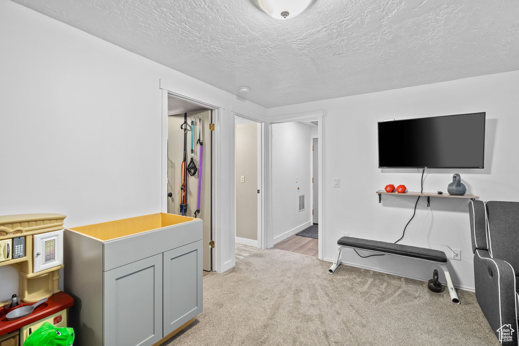 Rec room with light colored carpet, a textured ceiling, and baseboards