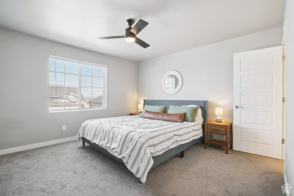 Carpeted bedroom with multiple windows, baseboards, and ceiling fan
