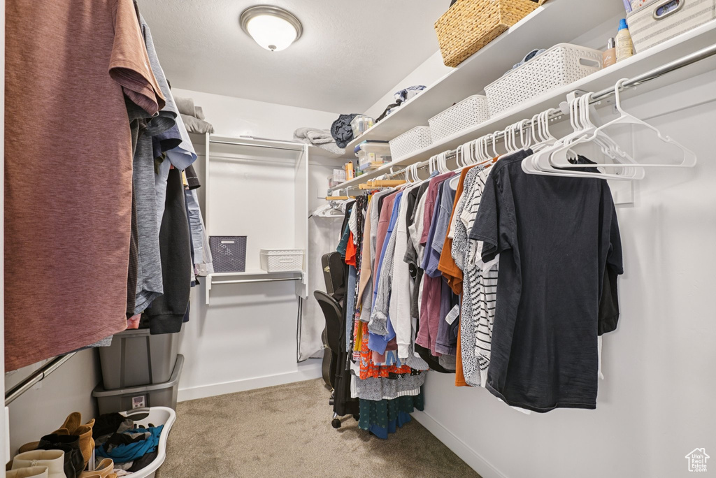 Spacious closet with carpet