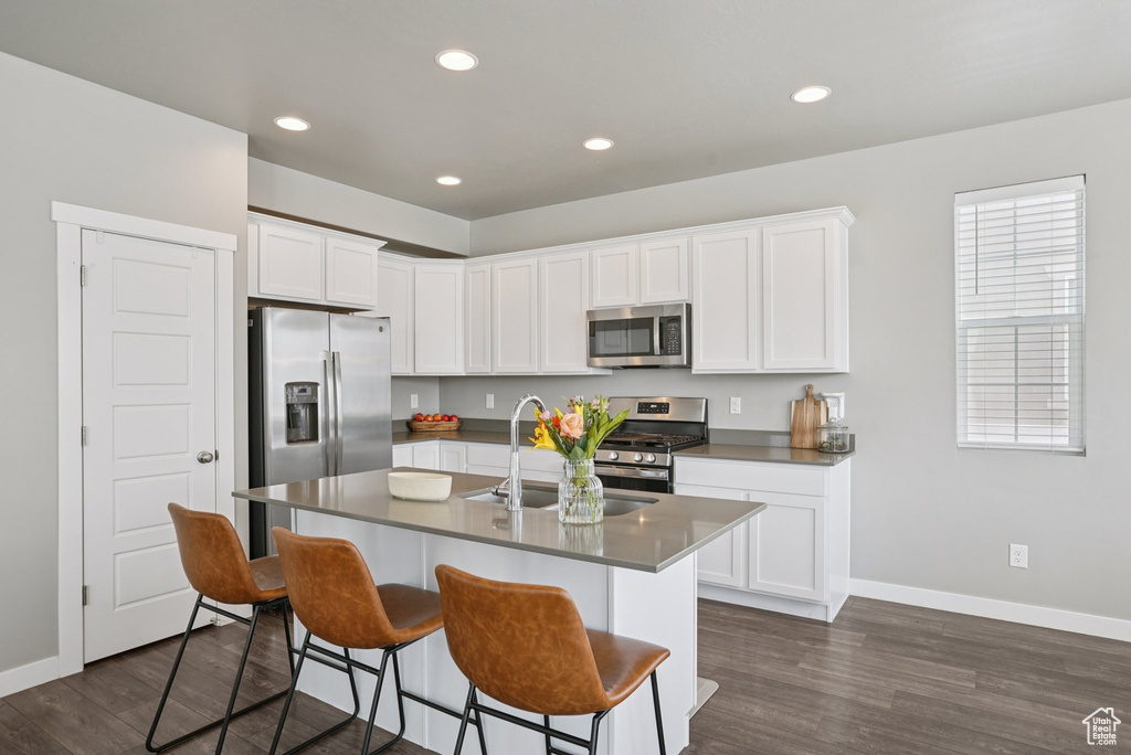 Kitchen with stainless steel appliances, a sink, baseboards, dark wood finished floors, and recessed lighting
