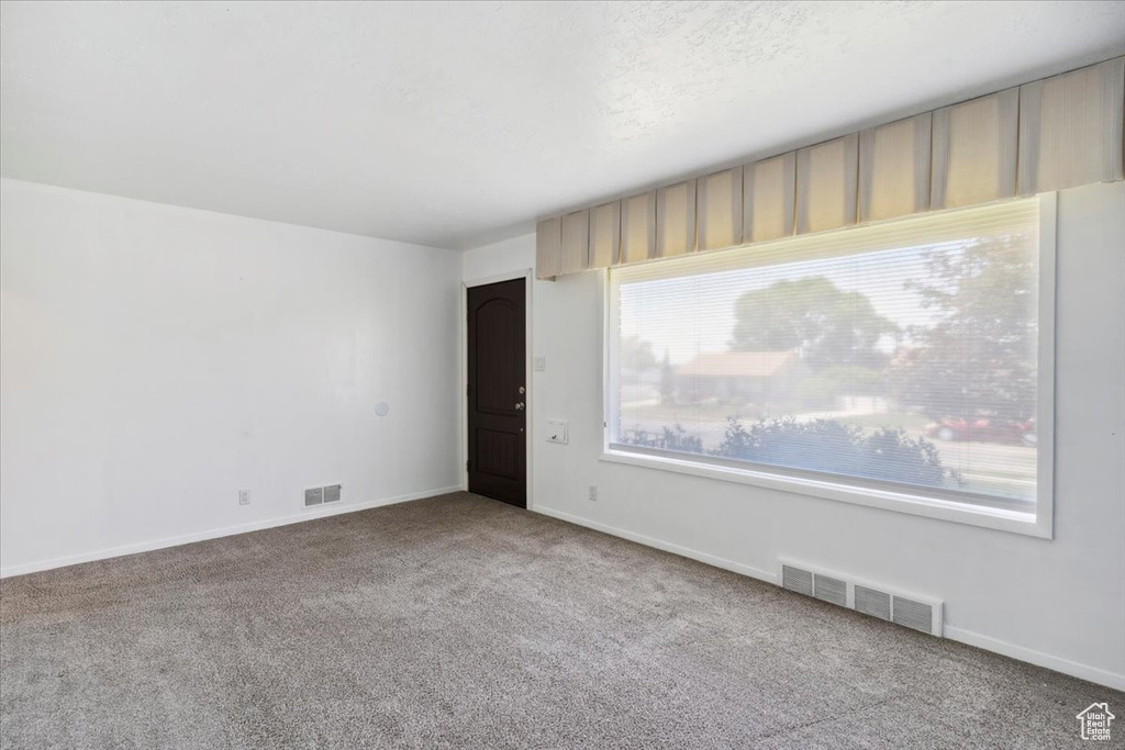 Carpeted spare room featuring plenty of natural light and baseboards