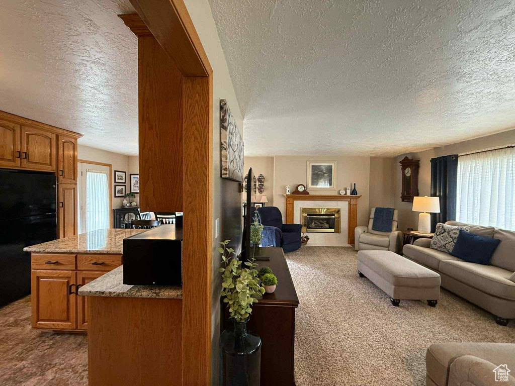 Living room featuring a textured ceiling, healthy amount of natural light, dark colored carpet, and a glass covered fireplace