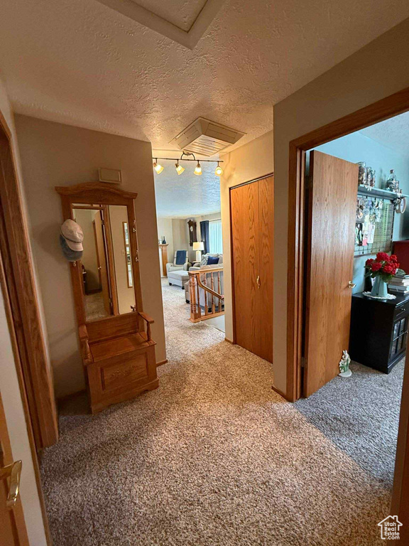 Hall with carpet floors and a textured ceiling