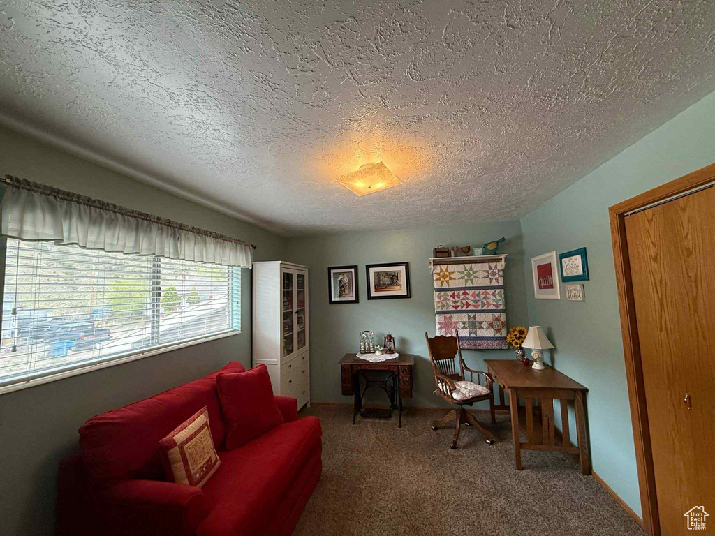 Office space featuring carpet floors and a textured ceiling
