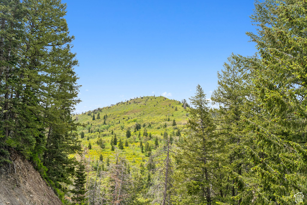 View of mountain background featuring a forest
