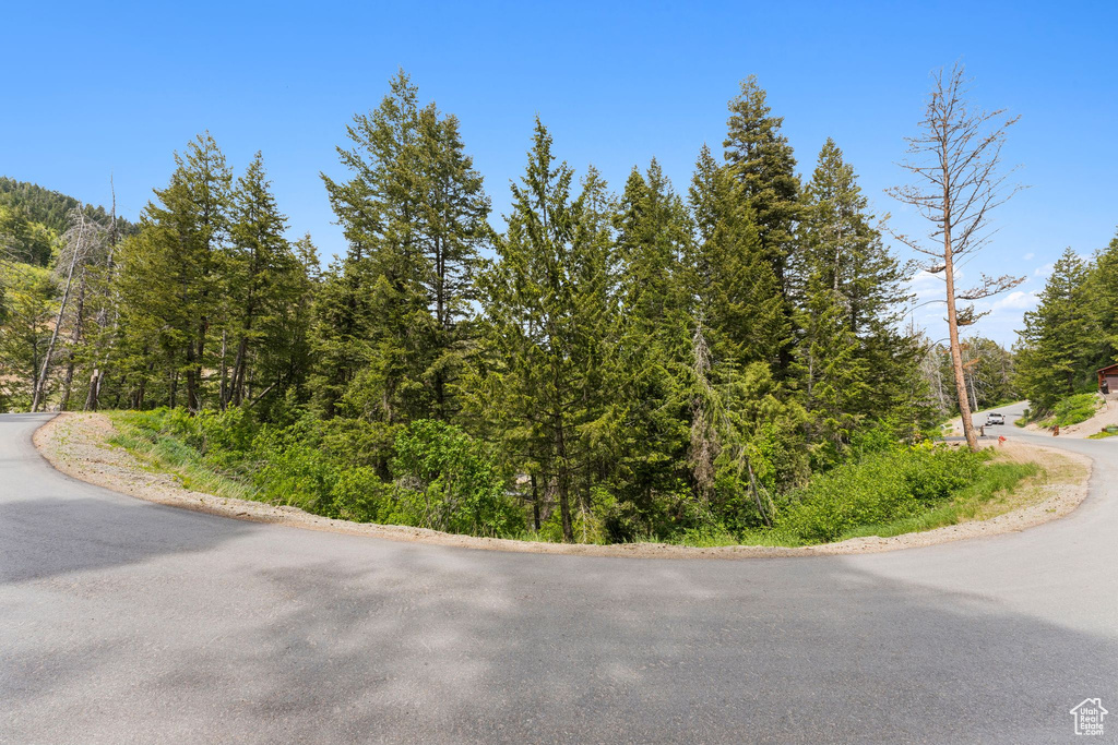 View of asphalt road featuring a wooded view