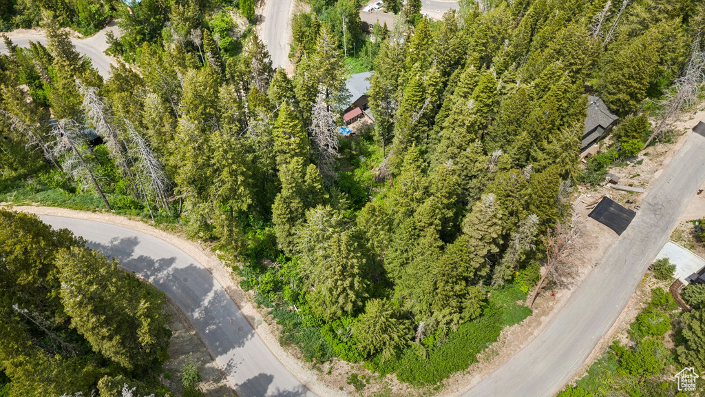 Aerial view of property's location