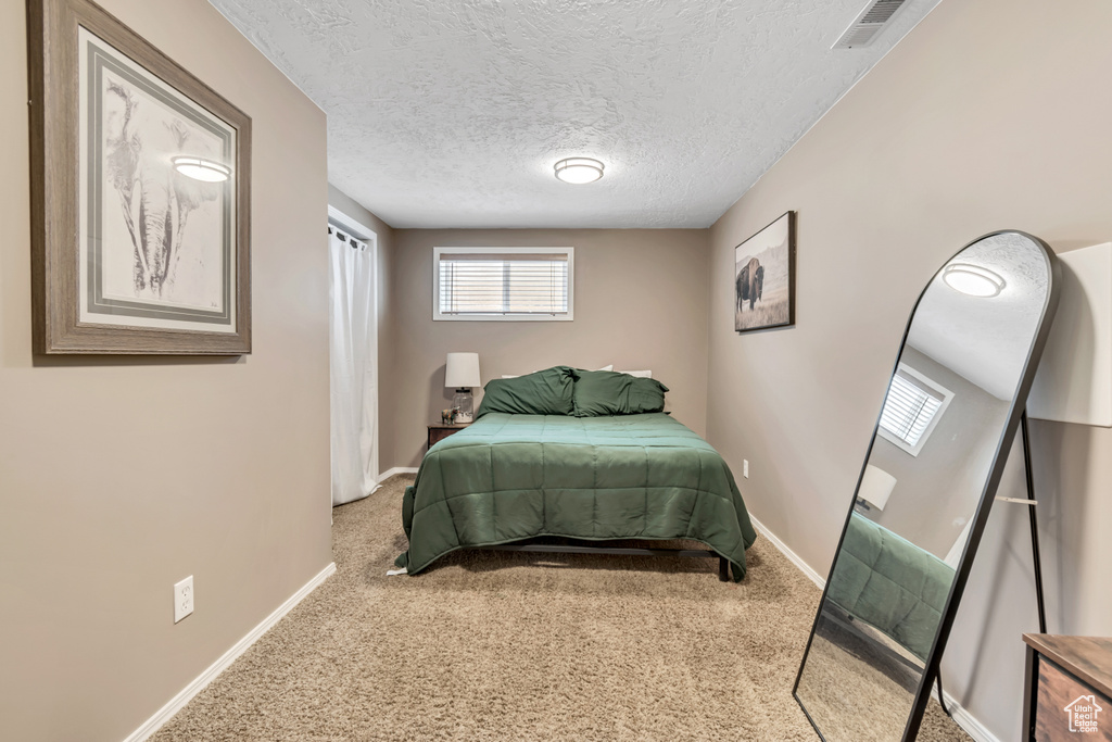 Bedroom featuring carpet floors, multiple windows, baseboards, and a textured ceiling