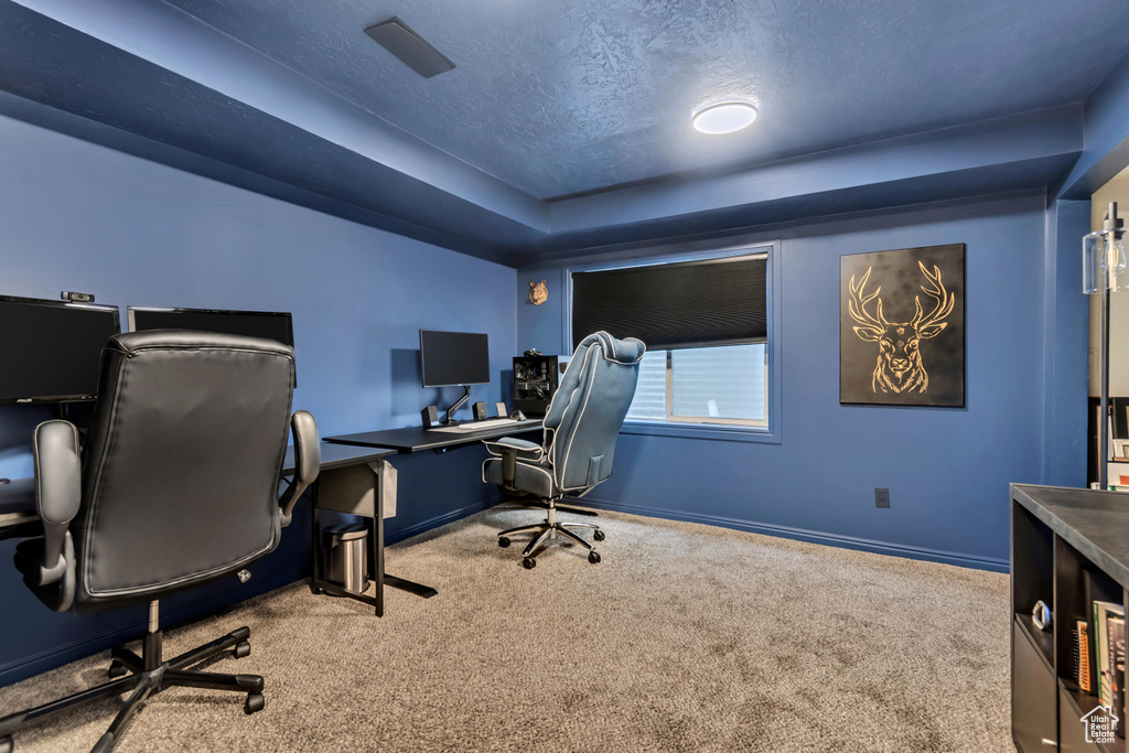 Office area featuring carpet flooring, baseboards, a textured ceiling, and a tray ceiling