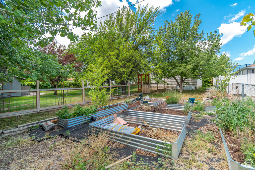 View of yard featuring a vegetable garden