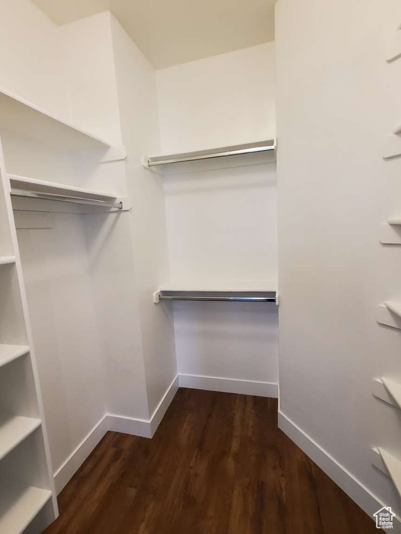 Spacious closet with dark wood-style floors