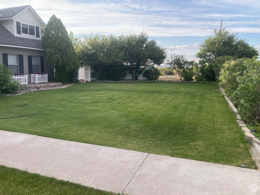 View of grassy yard