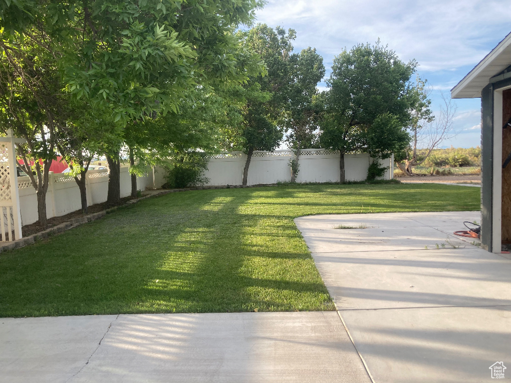 View of yard with a patio