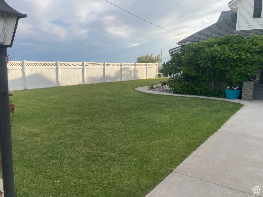 View of yard