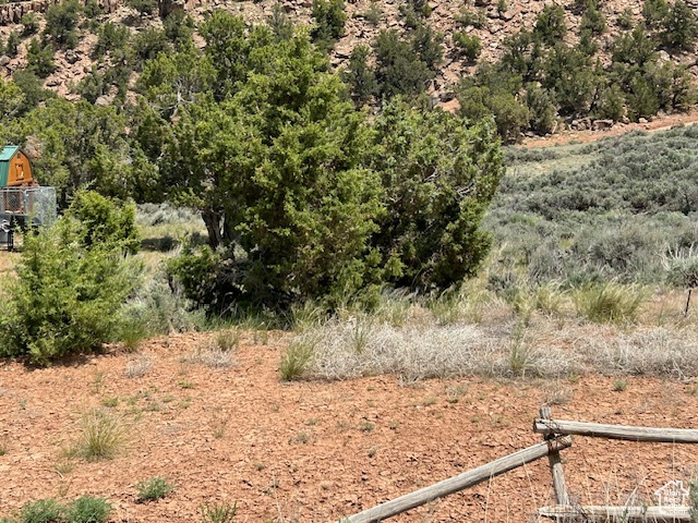 View of undeveloped land