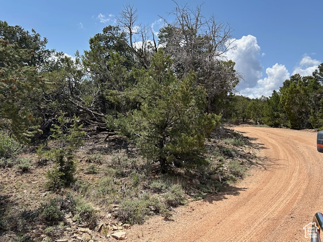 View of dirt / gravel road