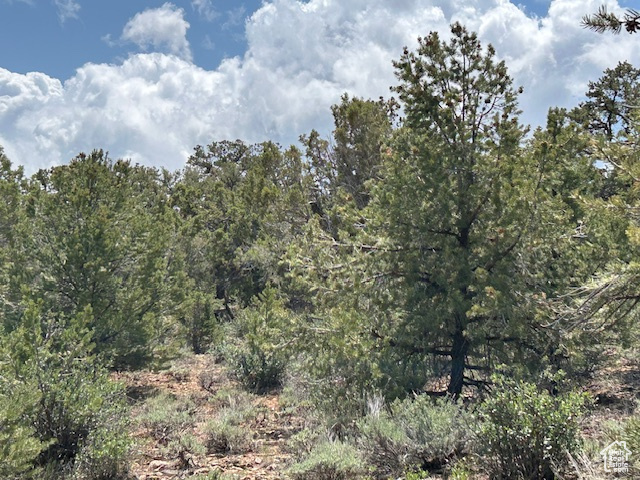 View of wooded area