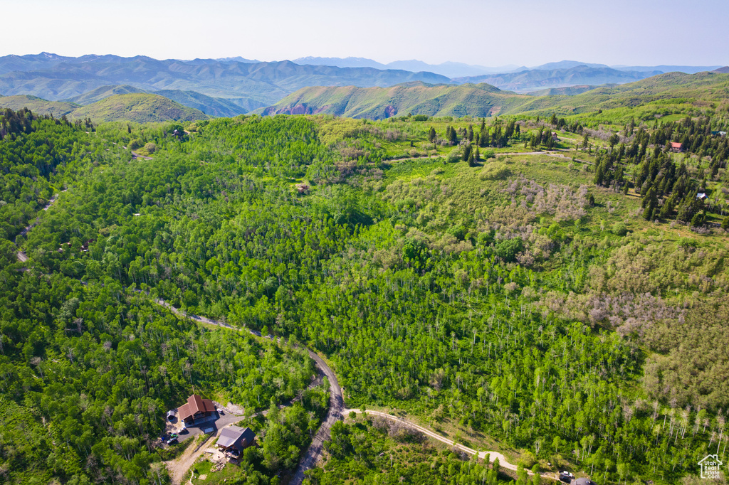 Aerial view of a heavily wooded area and a mountain backdrop
