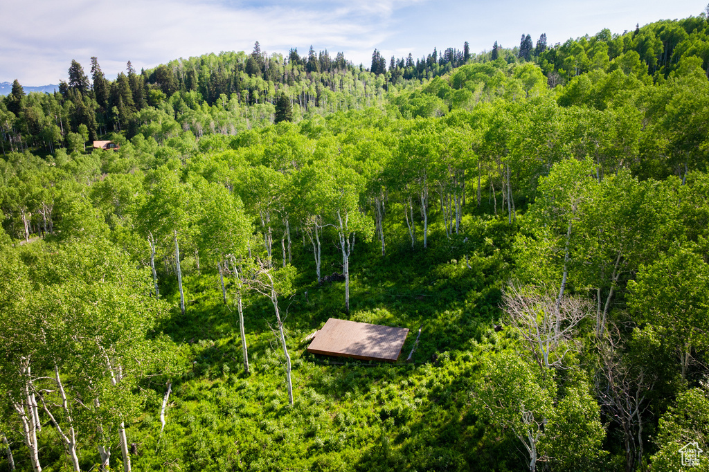 Drone / aerial view of a heavily wooded area