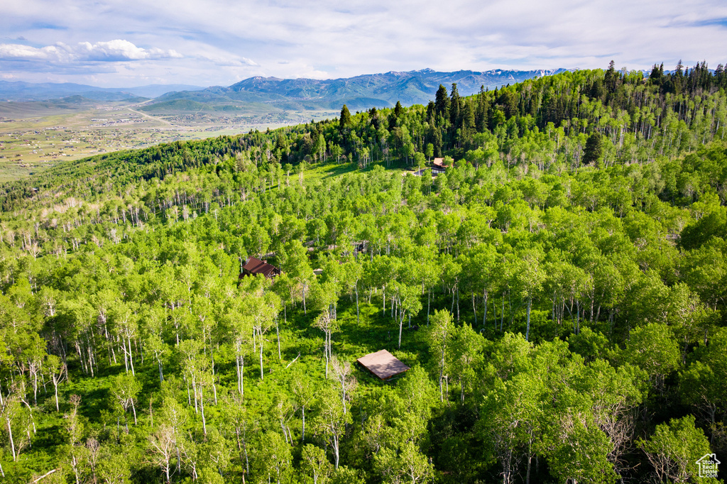 View of mountain backdrop with a heavily wooded area