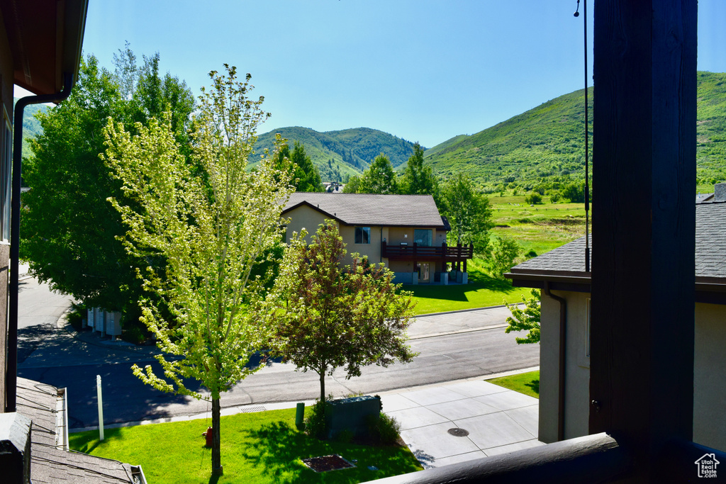 Mountain view