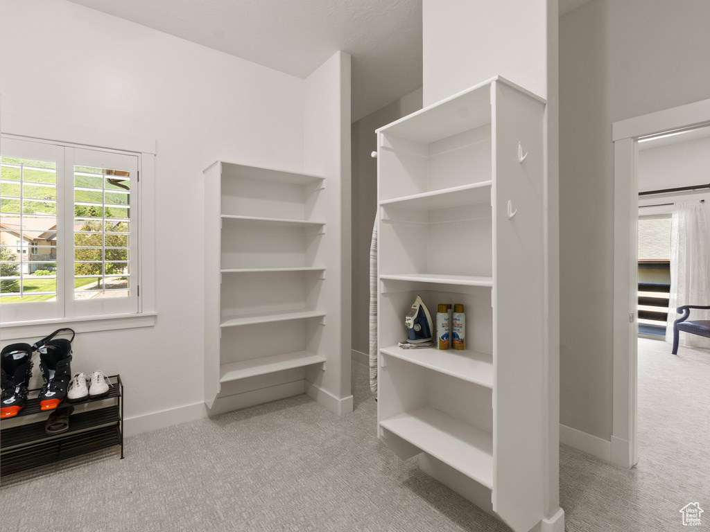Spacious closet featuring carpet floors