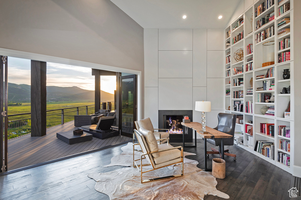 Office area with wood finished floors, a mountain view, a fireplace, built in features, and recessed lighting