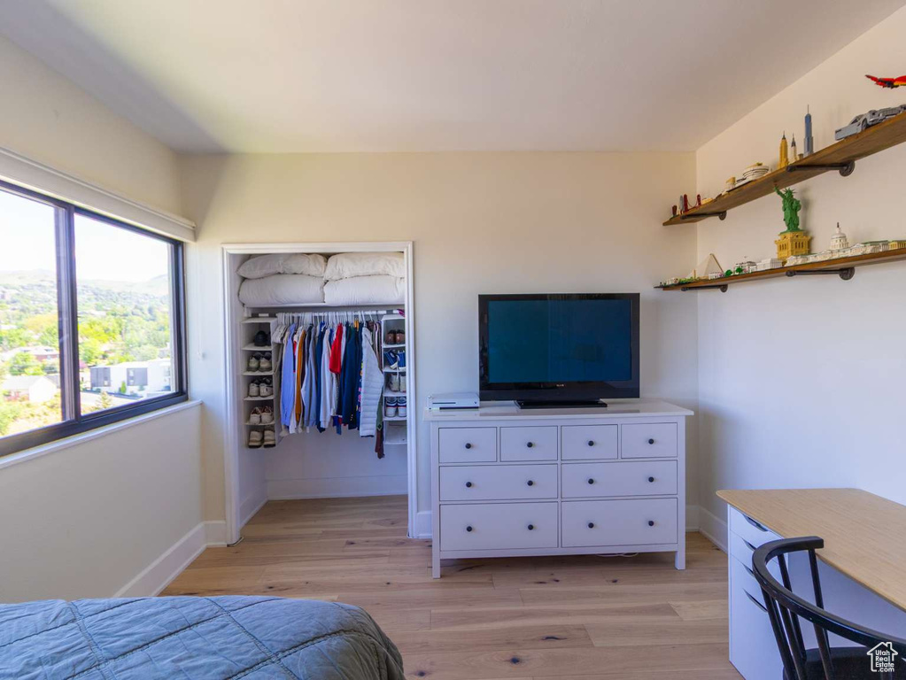 Bedroom featuring light wood-style floors, a closet, baseboards, and a spacious closet