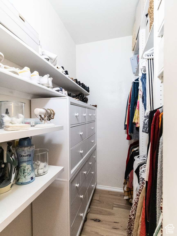 Walk in closet featuring light wood-type flooring