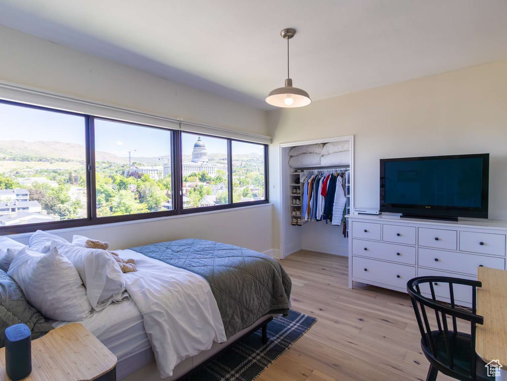 Bedroom with light wood-type flooring, multiple windows, a closet, and baseboards