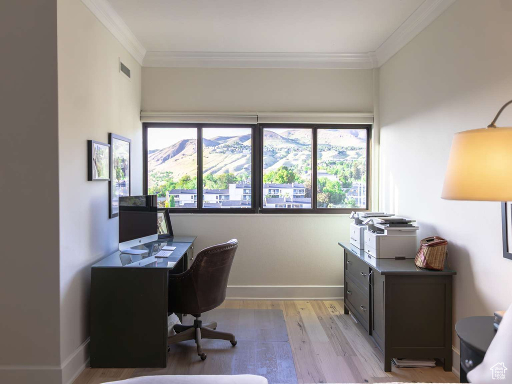 Office with light wood finished floors, crown molding, and baseboards