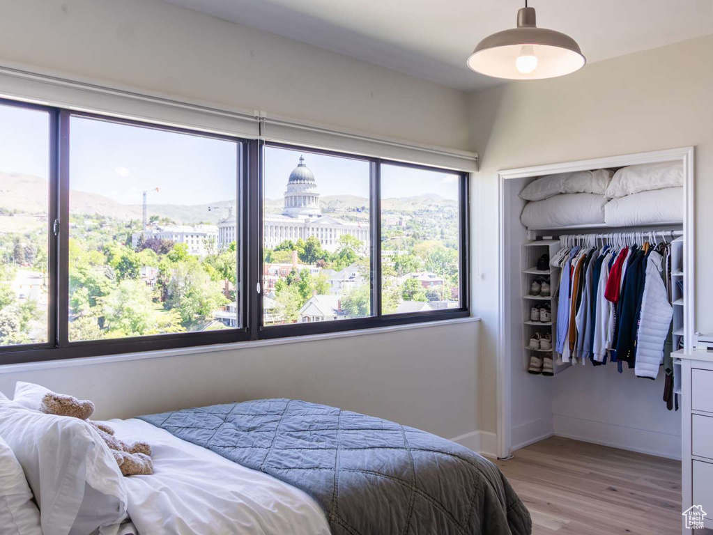 Bedroom featuring light wood-type flooring, a closet, and baseboards