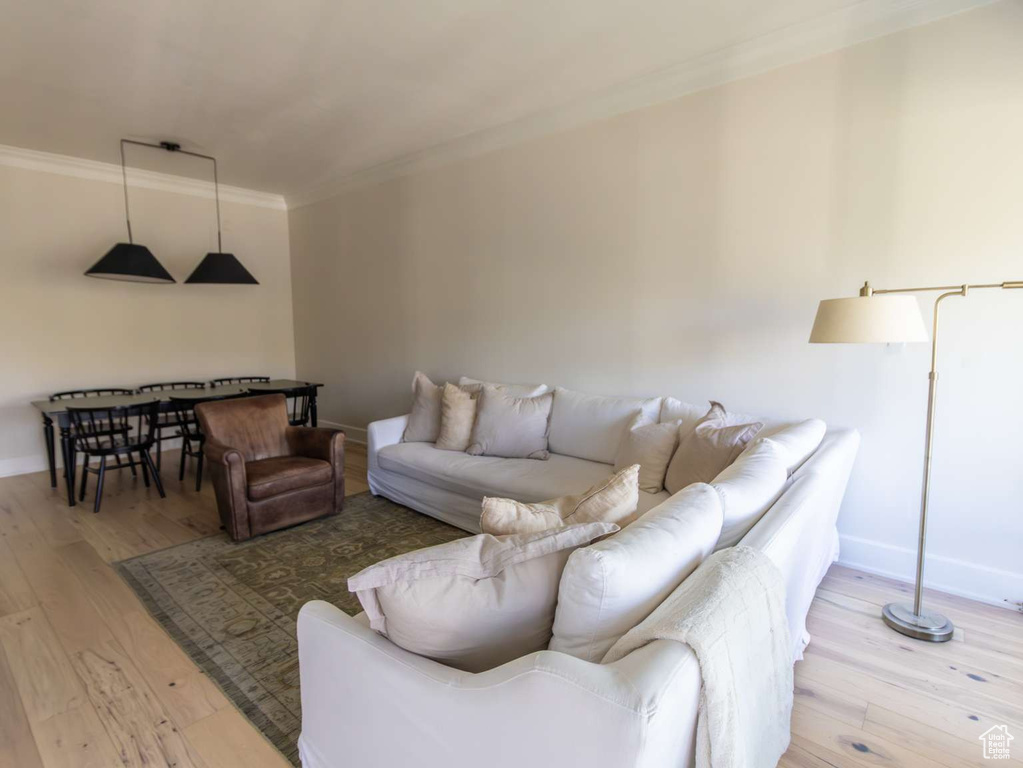 Living area featuring crown molding, wood-type flooring, and baseboards