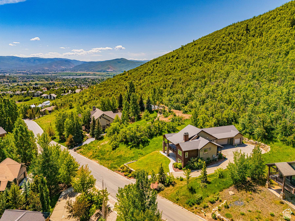 Aerial view of a forest and a mountainous background