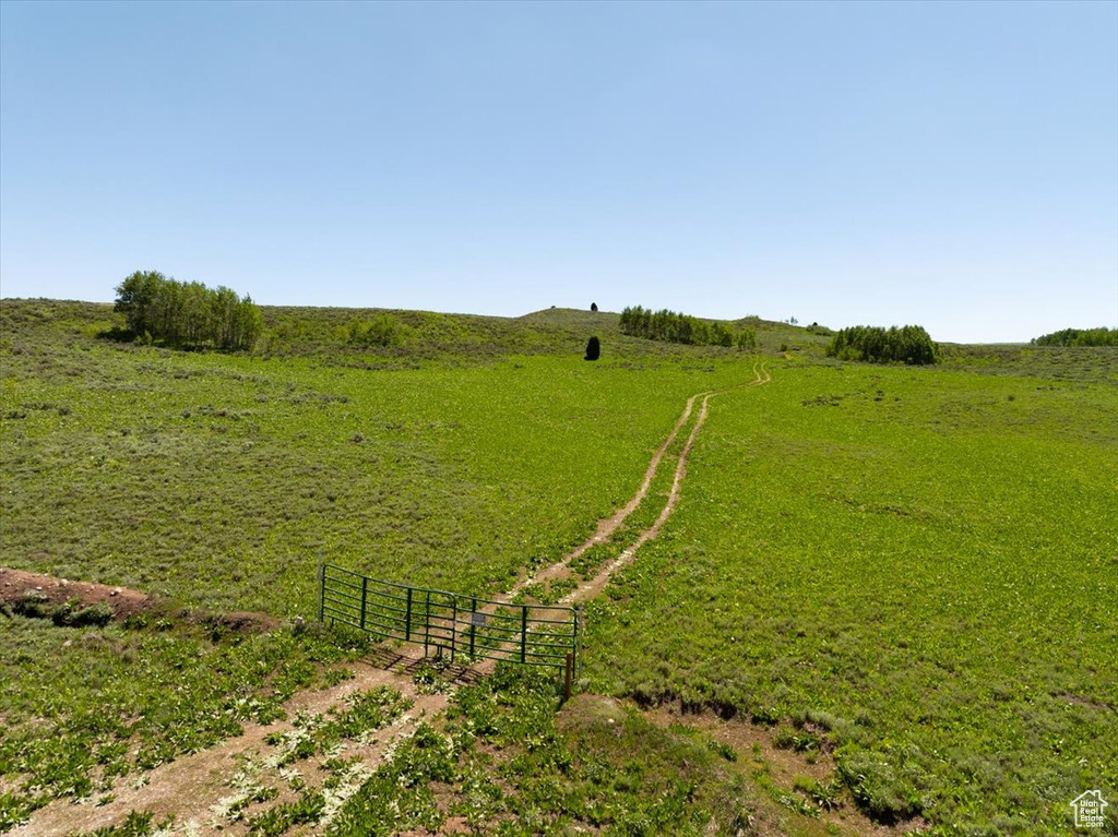 View of yard with a rural view and a gate