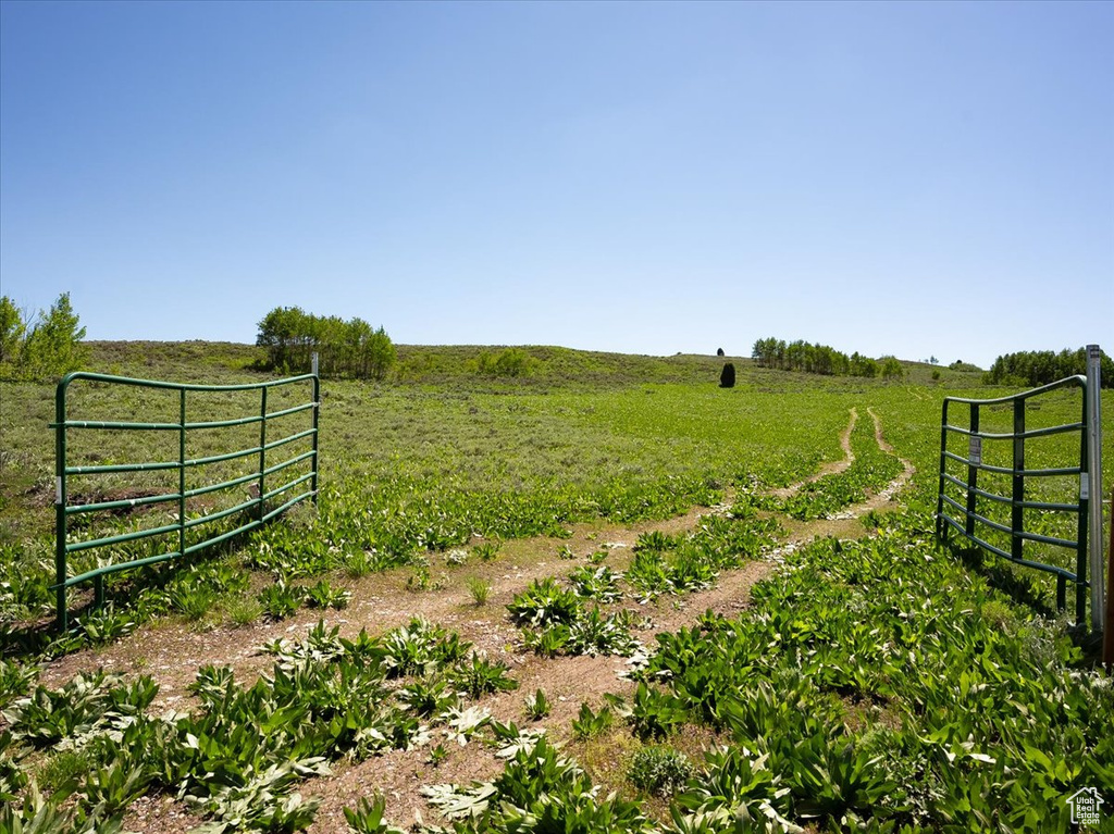 View of yard with a rural view