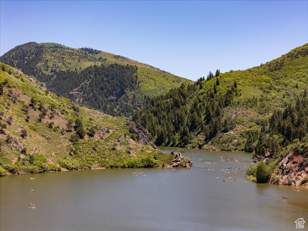 Water view with a mountain backdrop and a forest