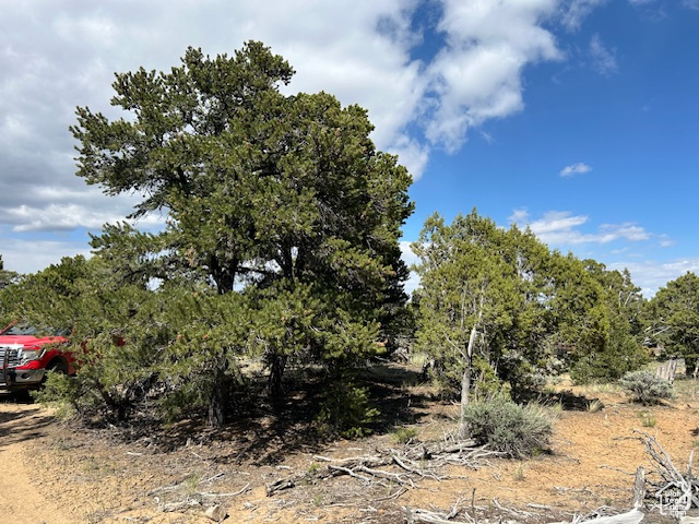 View of undeveloped land