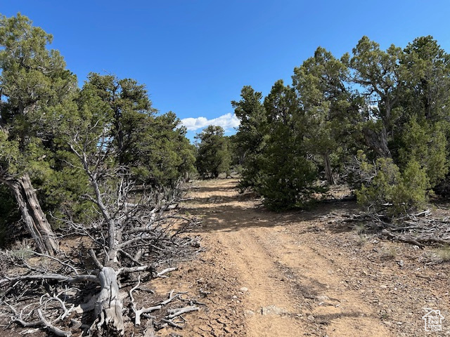 View of undeveloped land