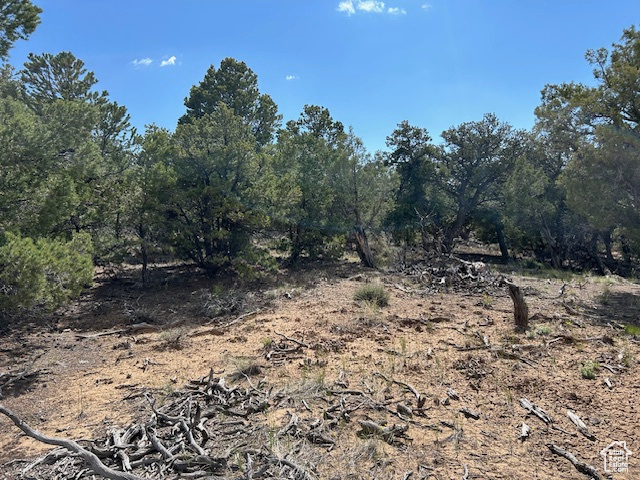 View of undeveloped land
