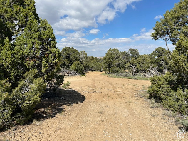 View of undeveloped land
