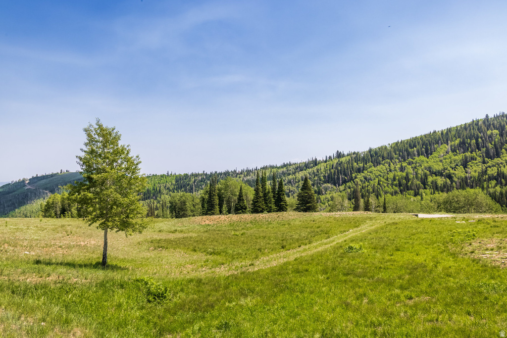 325  WHITE PINE CANYON RD Park City, UT 84060
