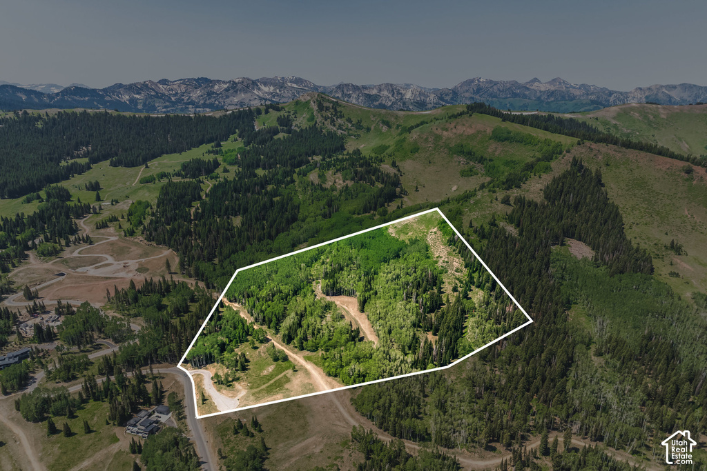 Expansive mountain property featuring mature trees and a substantial land area