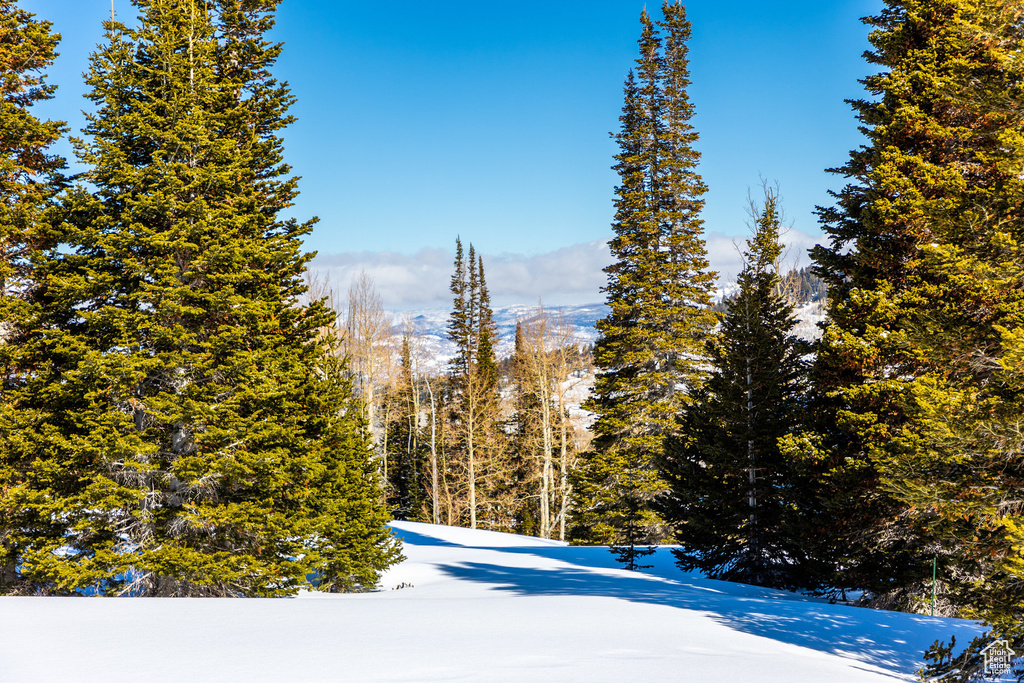 325  WHITE PINE CANYON RD Park City, UT 84060