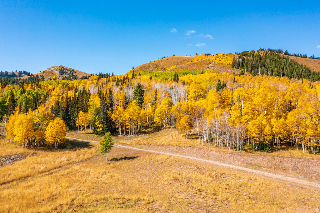 325  WHITE PINE CANYON RD Park City, UT 84060