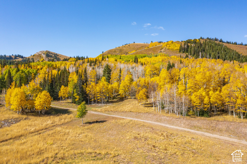 Expansive mountain landscape featuring golden autumn foliage, scattered evergreen trees, a clear blue sky, varied terrain, and a visible dirt path