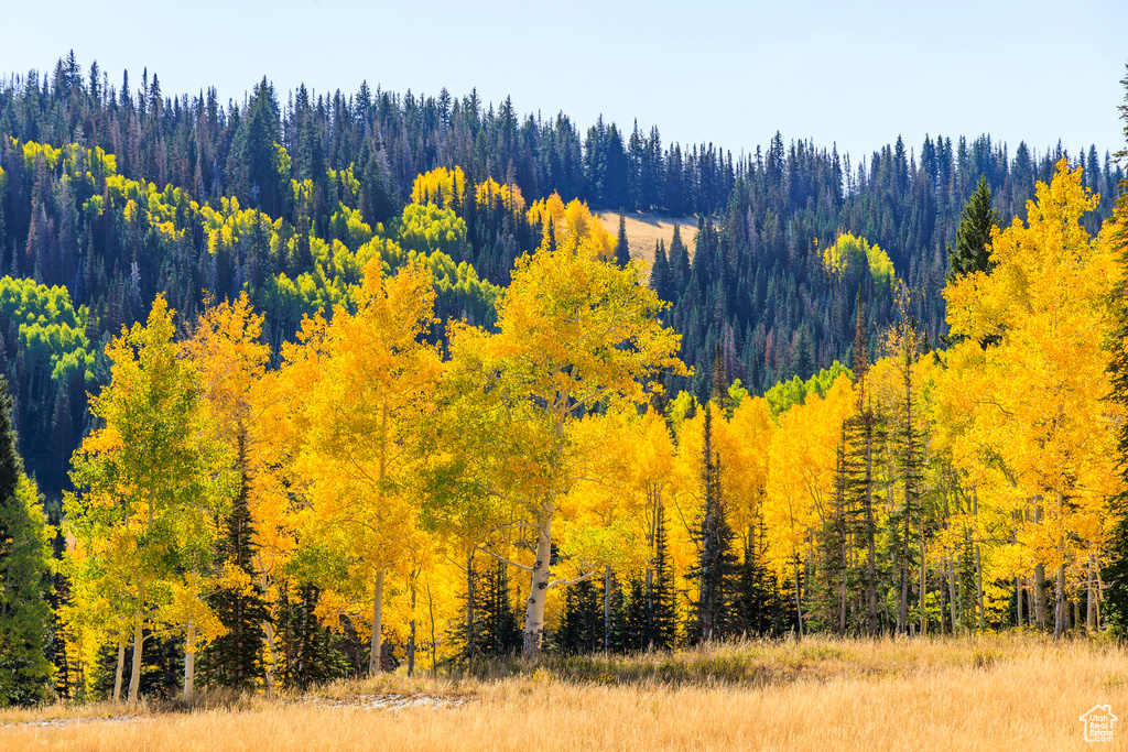 325  WHITE PINE CANYON RD Park City, UT 84060