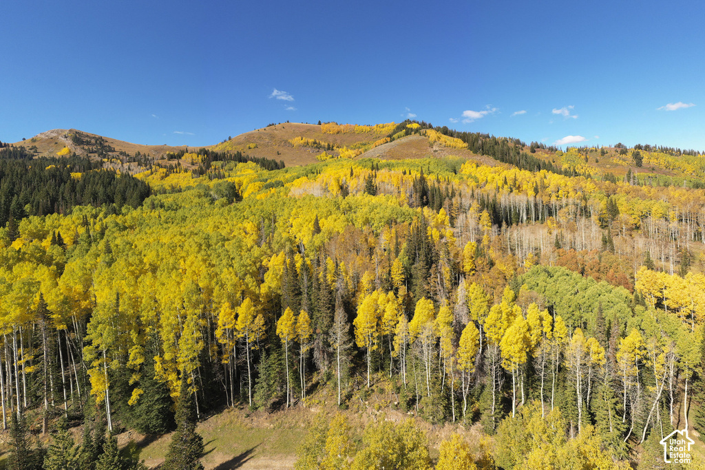 Expansive mountainous terrain featuring a dense forest of vibrant yellow deciduous trees and evergreen conifers