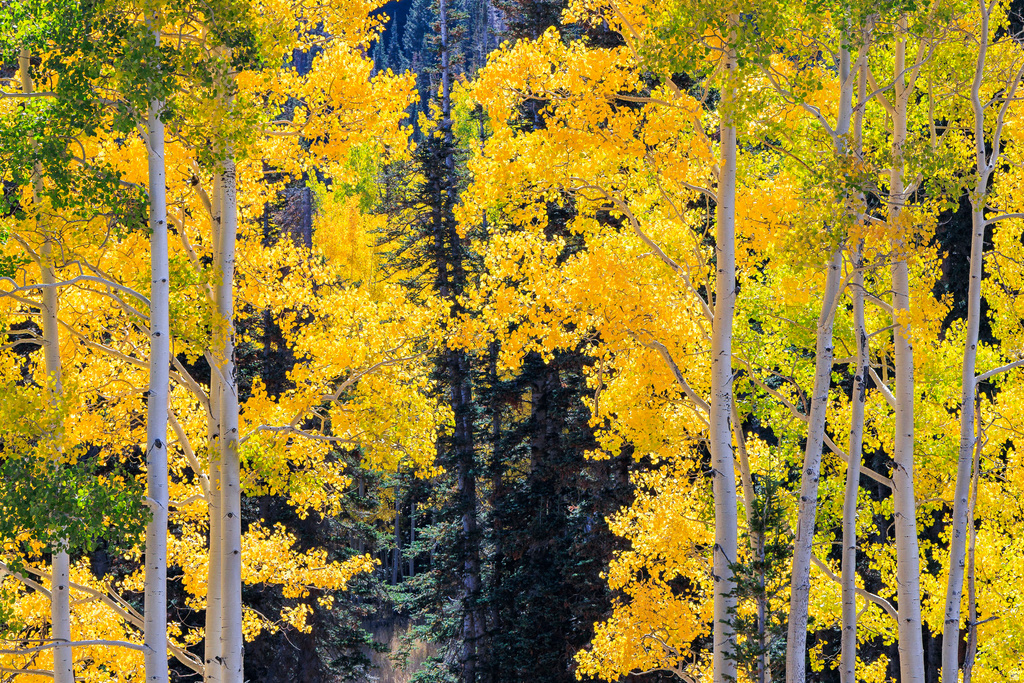 325  WHITE PINE CANYON RD Park City, UT 84060