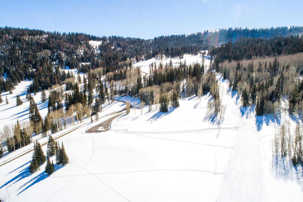 Expansive snow-covered landscape featuring a winding road, dense evergreen forests, and deciduous trees